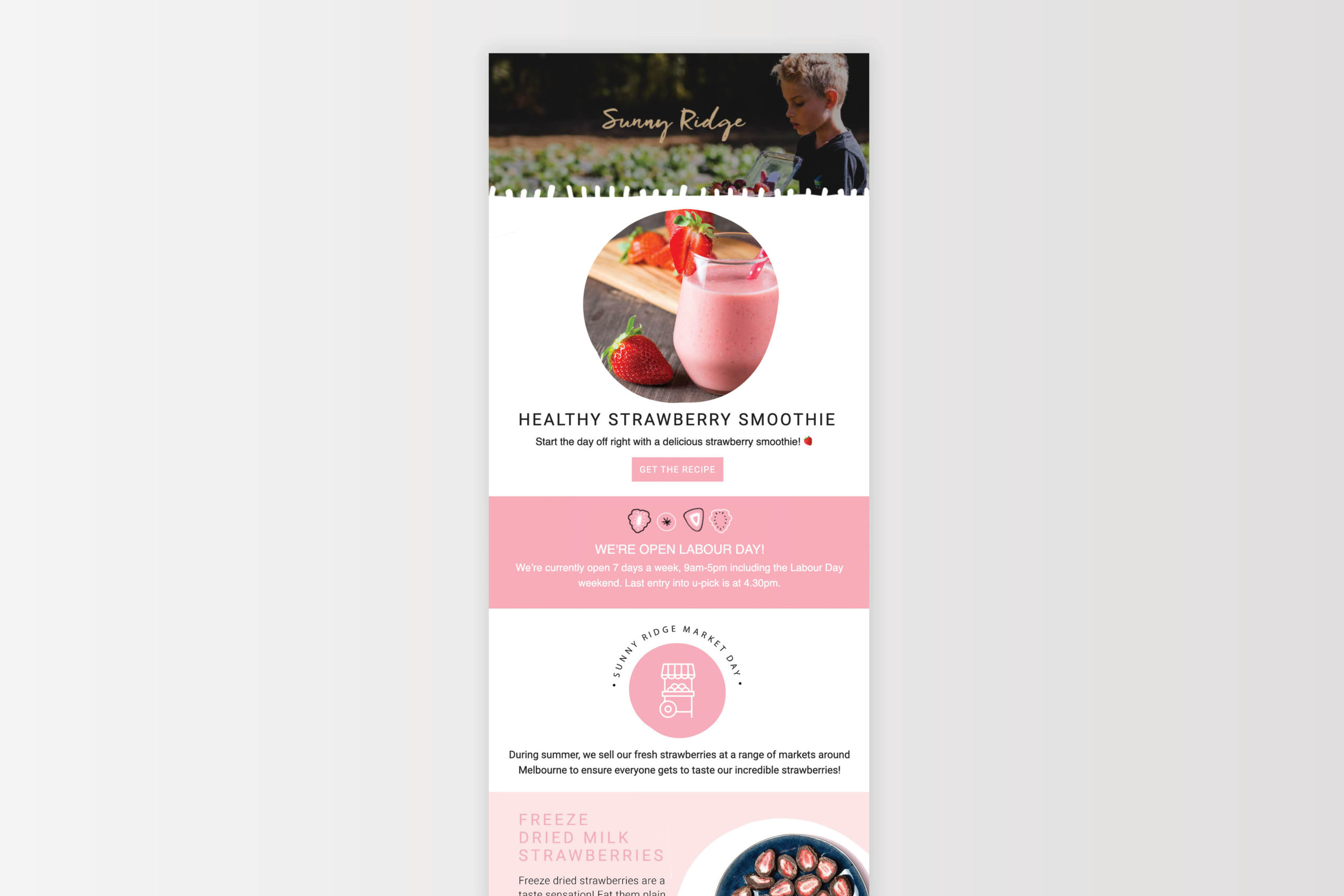 Sunny Ridge Packaging Email Marketing