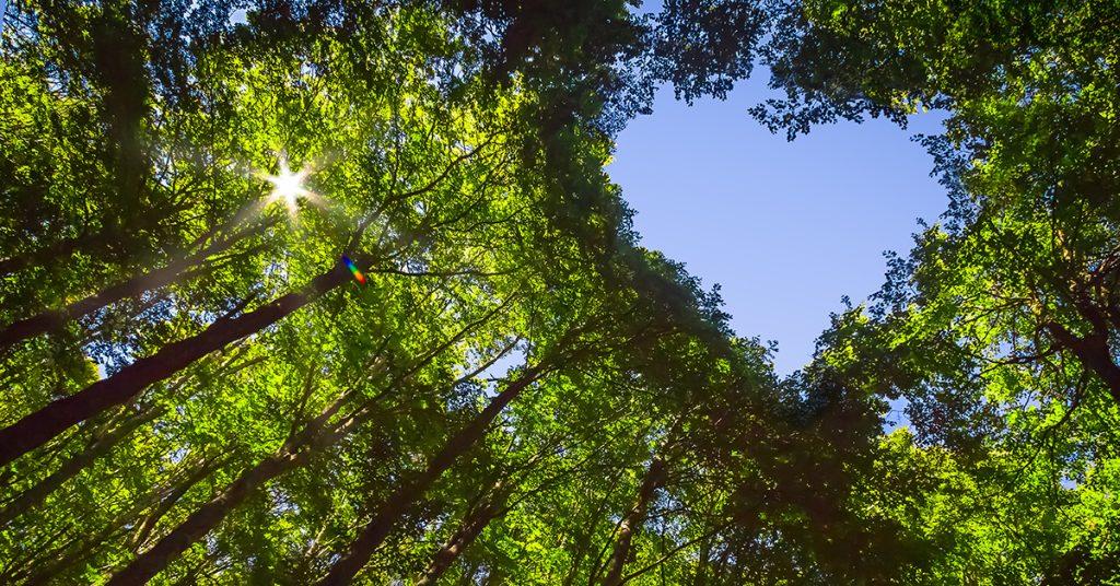 sustainability strategy