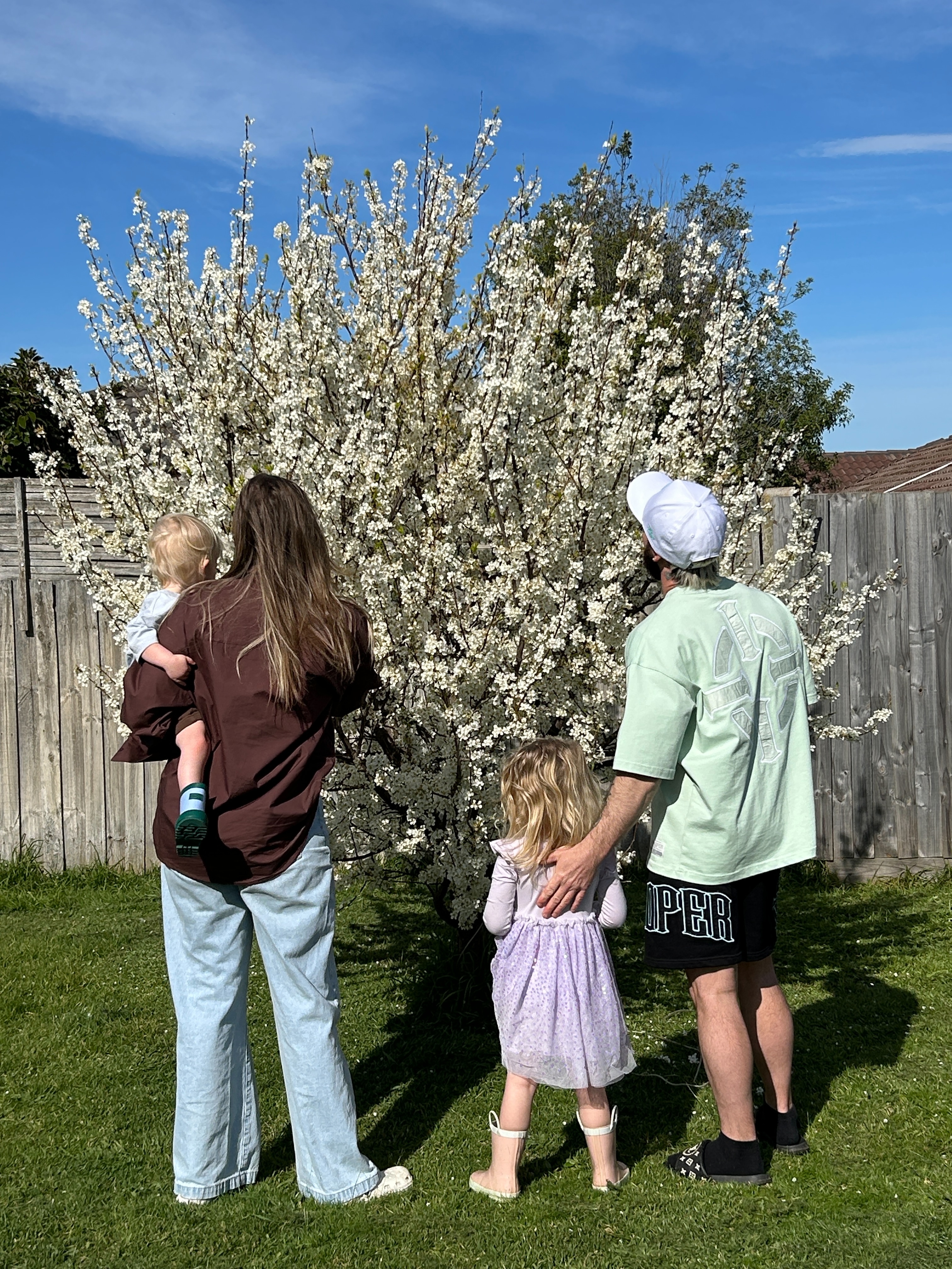 @lacysryan fam